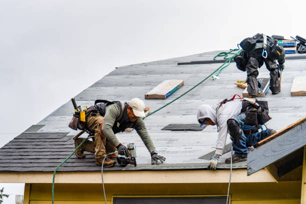 Professional Gutter Installation technician working in Dry Creek, WV